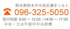 なかがわ内科クリニック 熊本市中央区横手１1-8-5　Tel 096-325-5050